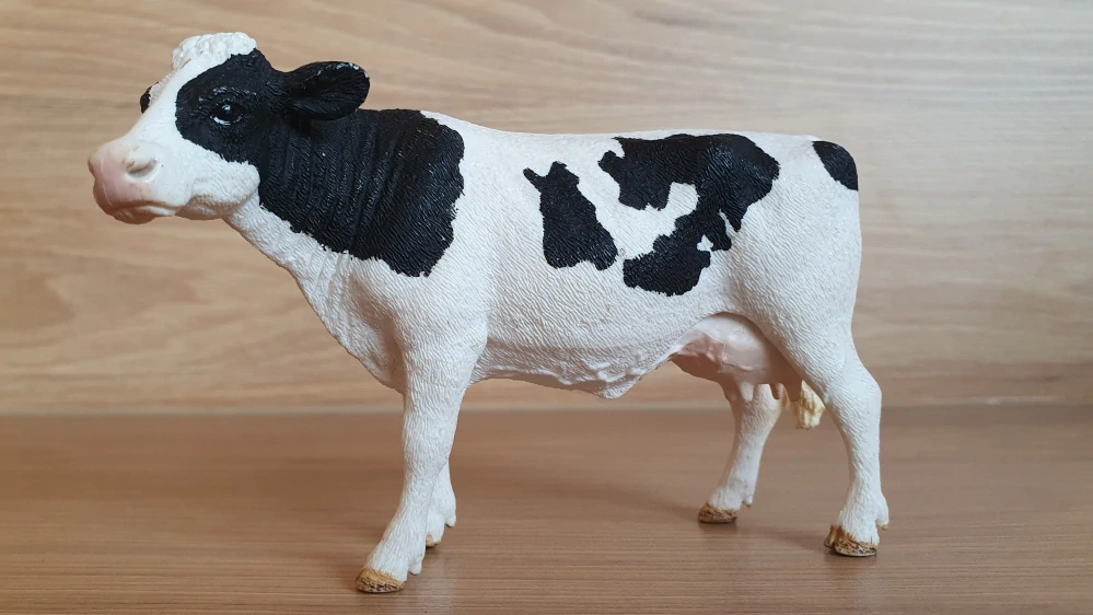 kráva holštýnská 13797, model 2015