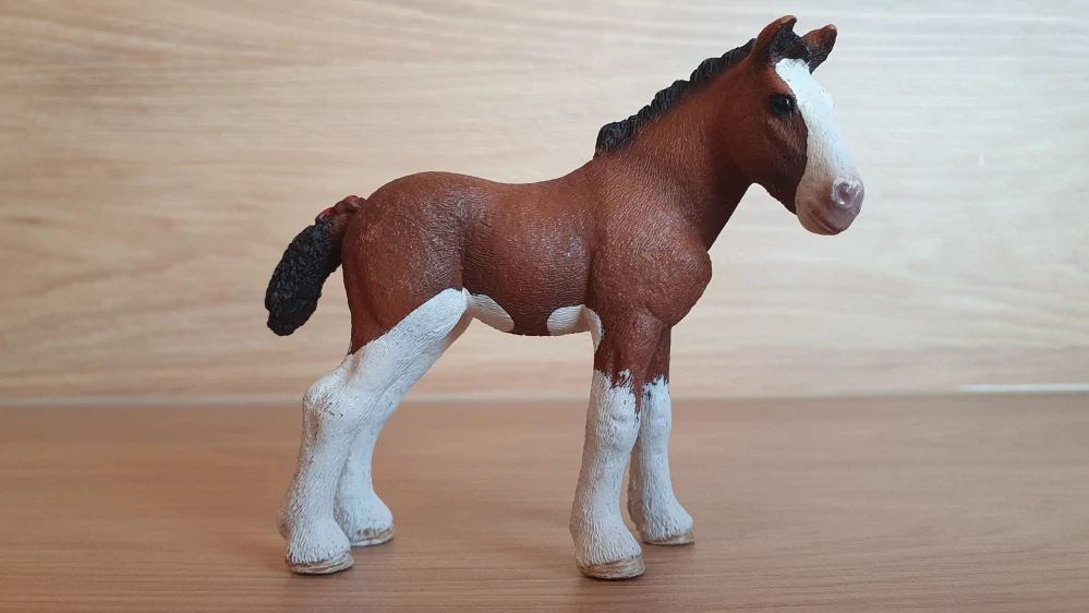 Clydesdale hříbě 13810, model 2015