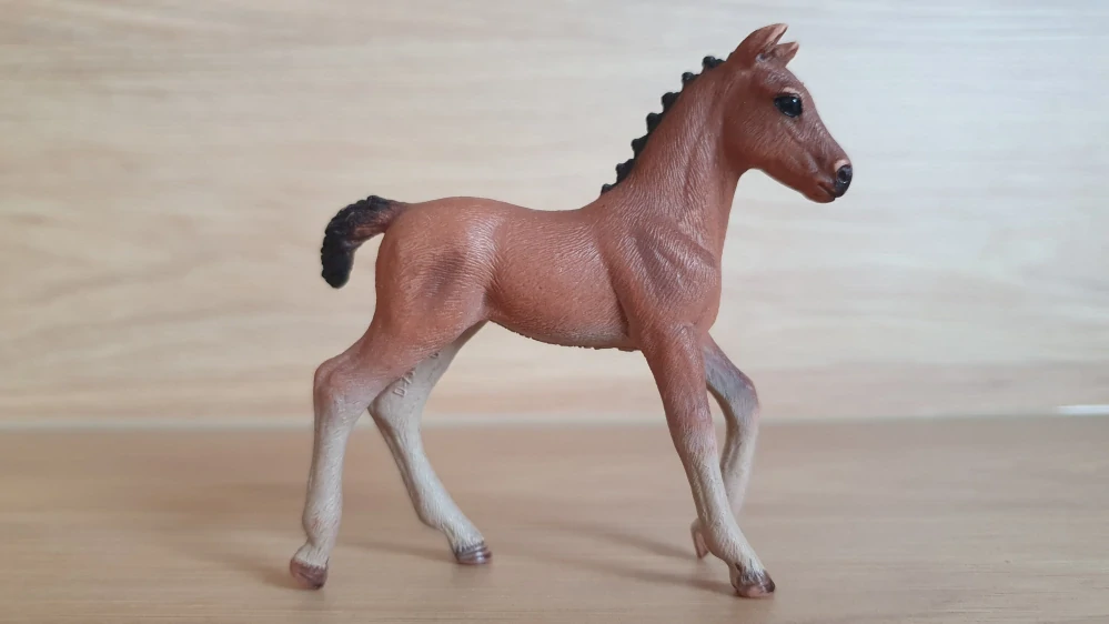 Hannoverské hříbě 13818, model 2016