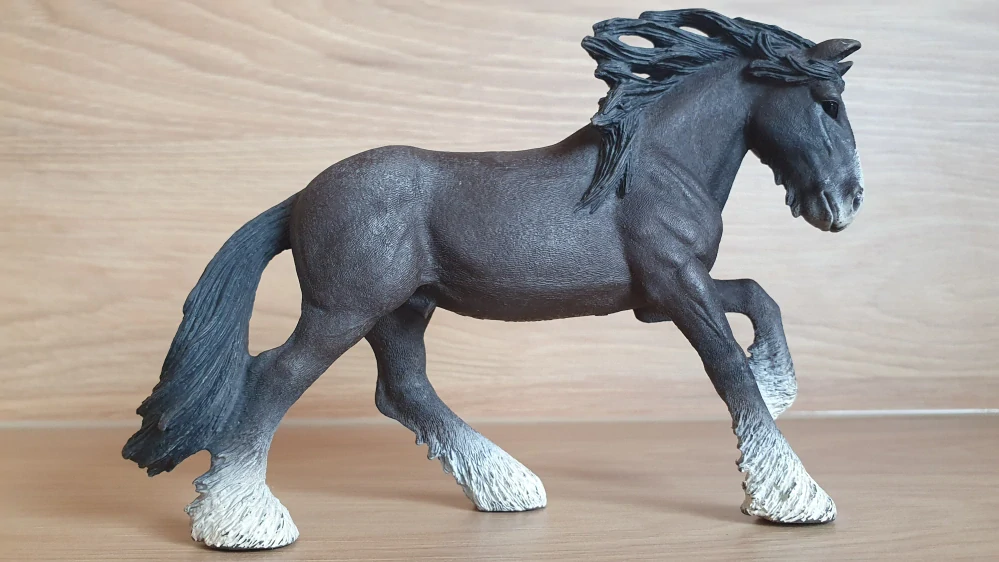 Hřebec shirský 13734, model 2012