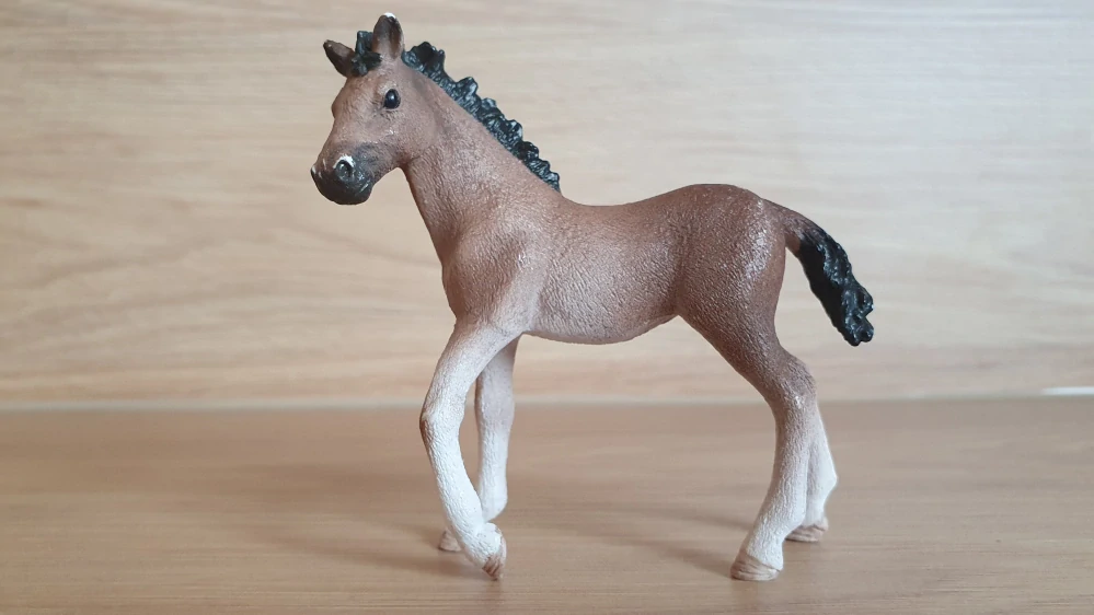 Andaluské hříbě 13822, model 2016
