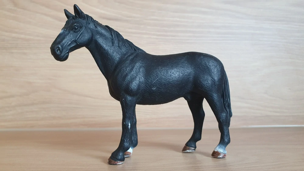 Tennessee valach mimochodník černý 13832, model 2016