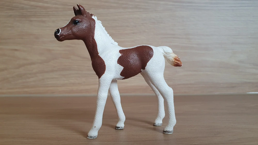 Pintabian hříbě 13839, model 2016