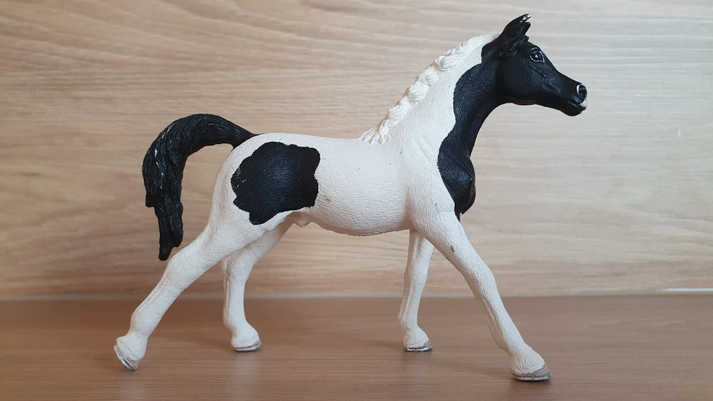 Arabský hřebec pinto 13840, model 2016