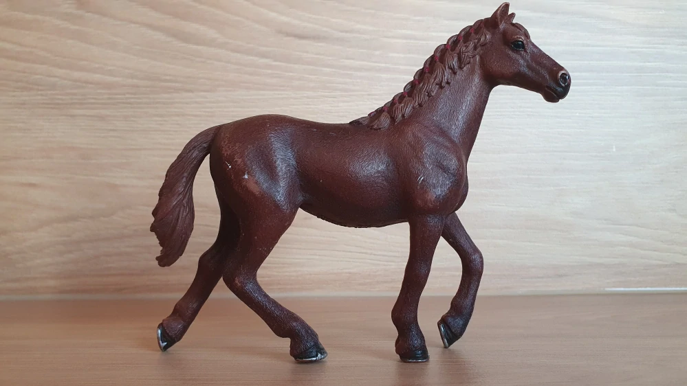 Anglický plnokrevník klisna 13855, model 2016