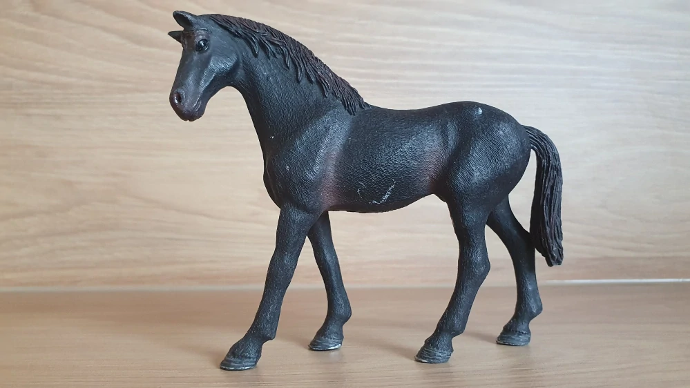 Anglický plnokrevník hřebec 13856, model 2017