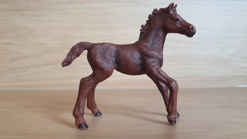 Anglický plnokrevník hříbě 13857, model 2016