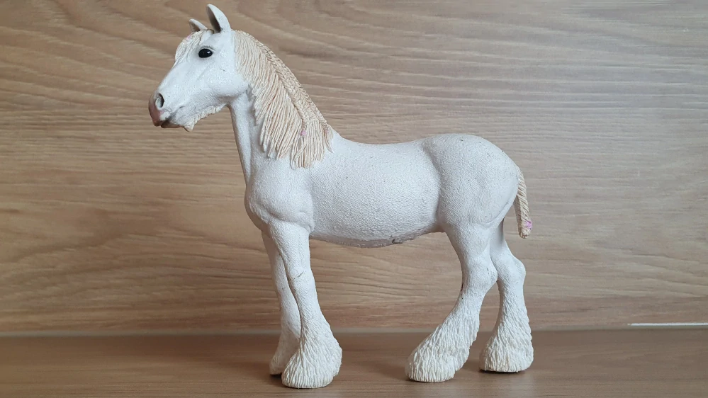 Klisna shirská 13735, model 2012
