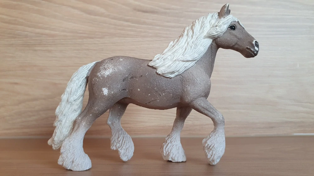 Silver dapple klisna 13914, model 2020