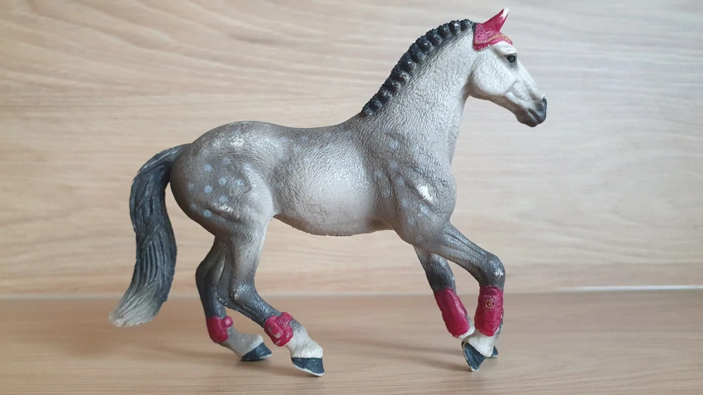 Trakehner klisna 42456, model 2018