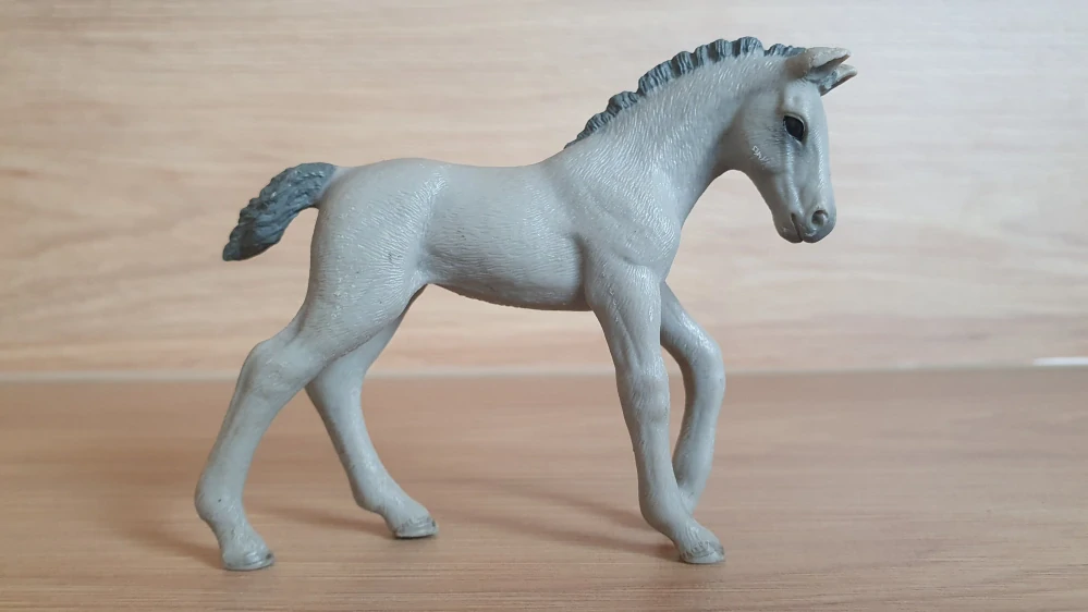 Trakehner hříbě 98269, model 2013