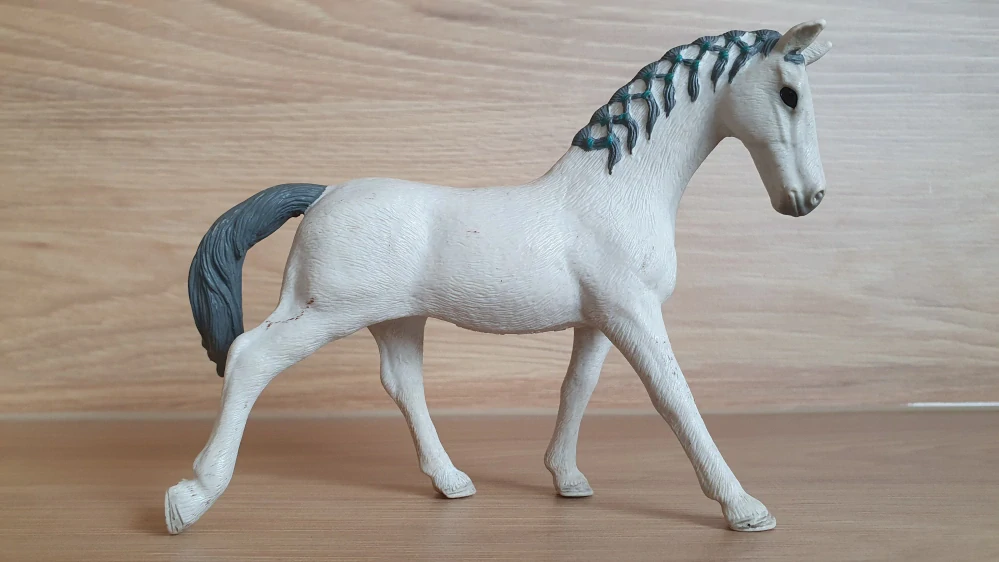 Trakehner klisna 98269, model 2018