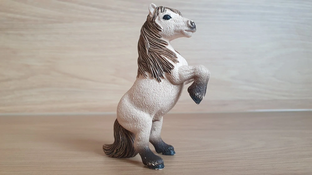 Shetlandský poník na zadních 13775, model 2014