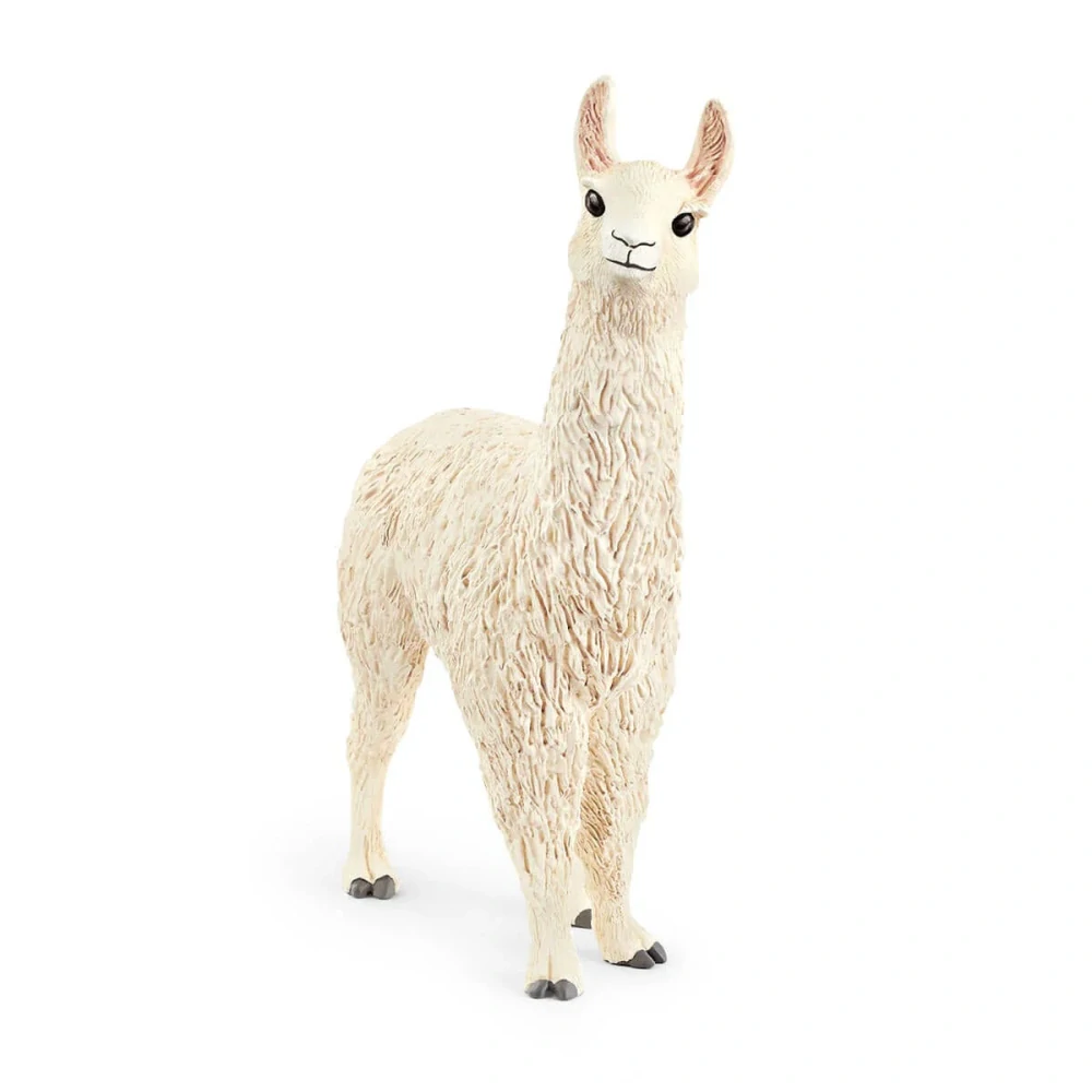 lama 13920, nové
