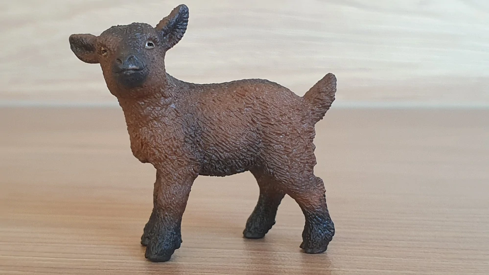 kůzle hnědé 13829, model 2016