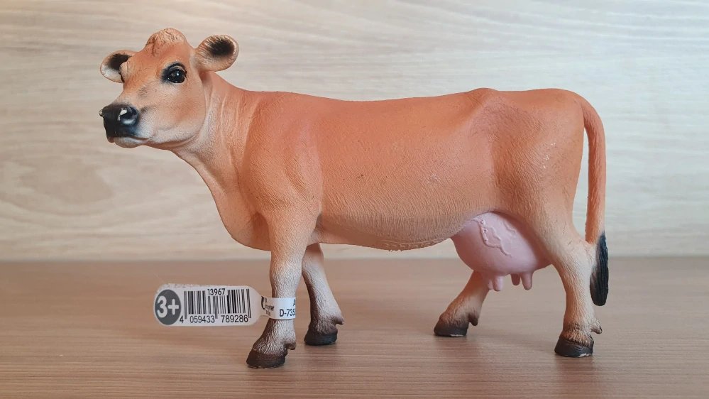 Jerseyská kráva 13967, model 2023