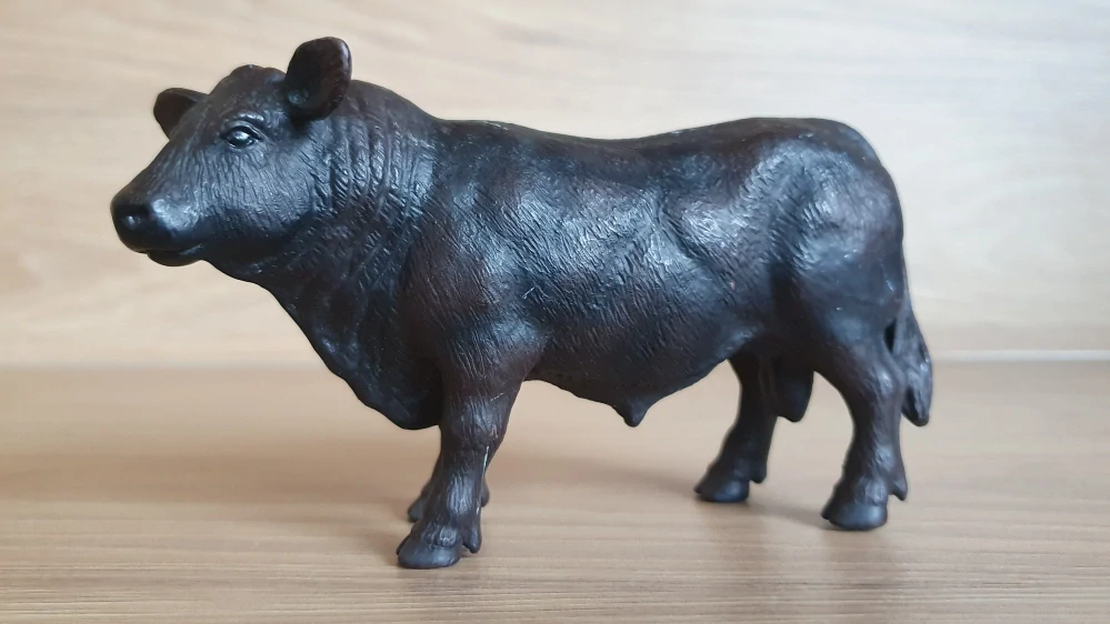 býk Anguský černý 13282, model 2003