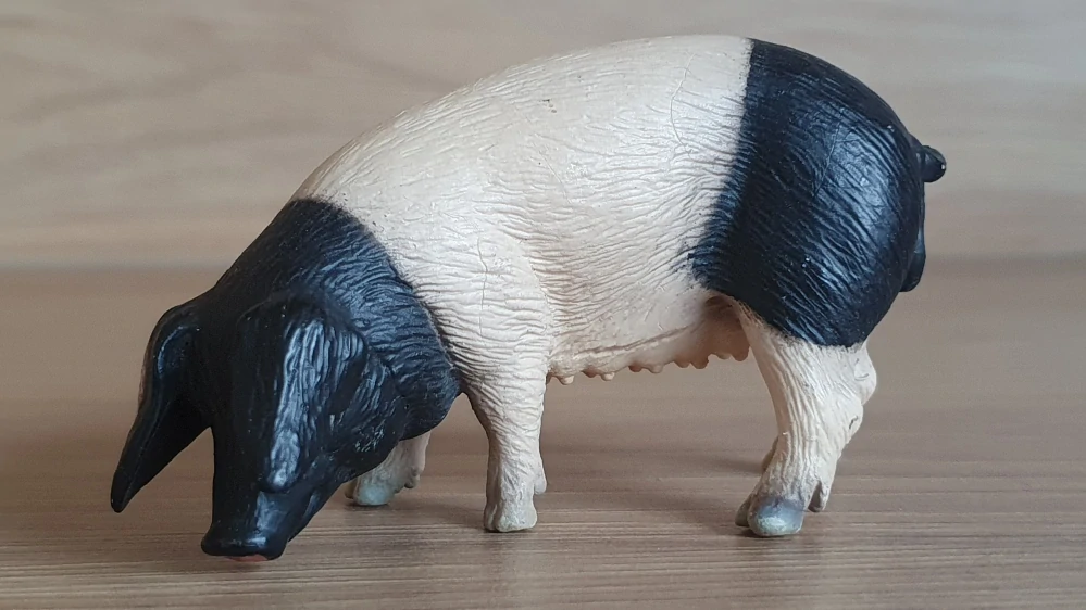 prasnice švábská 13612, model 2005