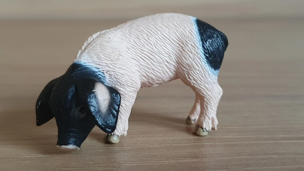 sele švábské 13635, model 2007