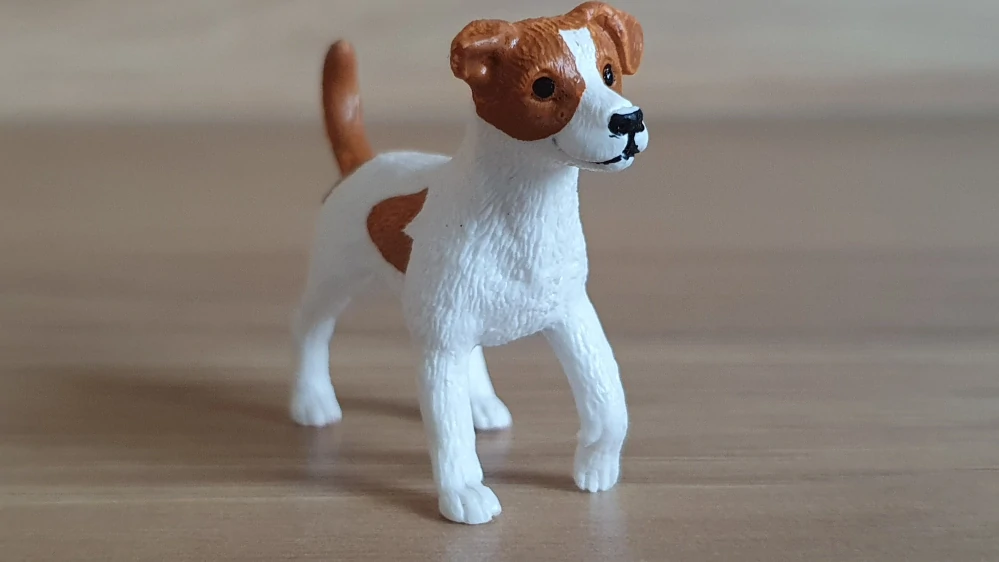 jack russel teriér 13916, model 2020