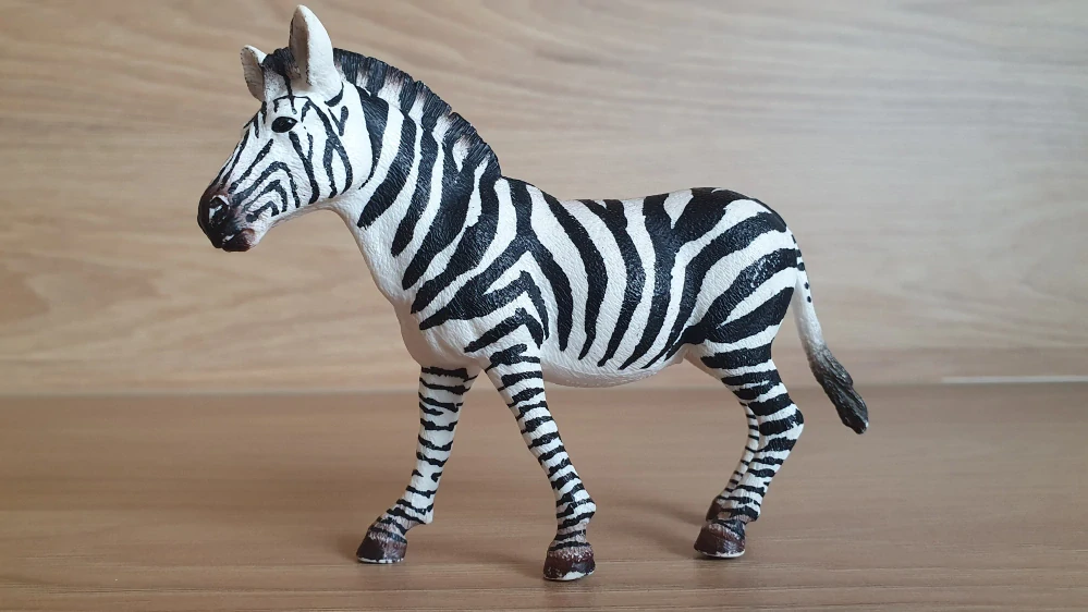 zebra 14810, model 2017