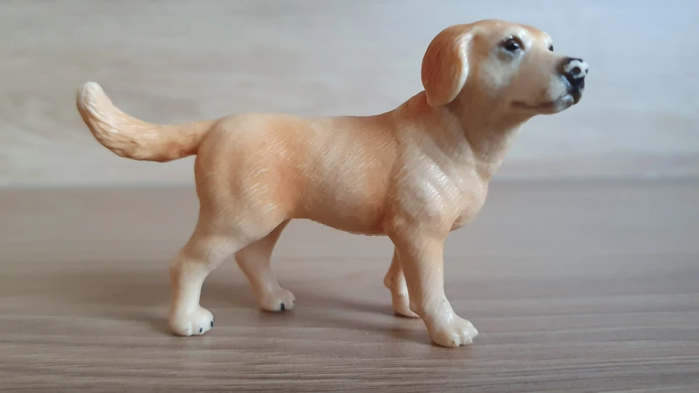 Labrador 16329, model 2001