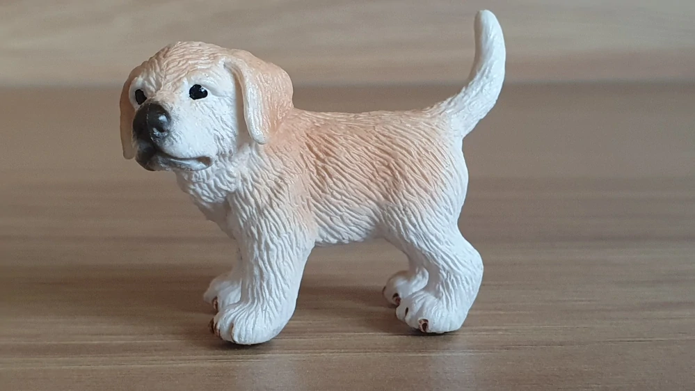 zlatý retrívr štěně 16378, model 2008