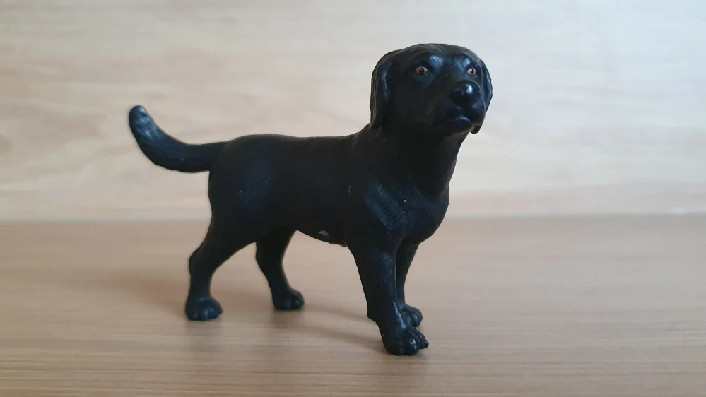 labrador černý 16327, model 2001
