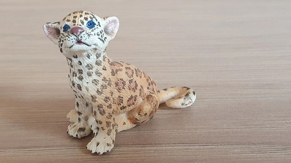jaguár mládě 14622, model 2009