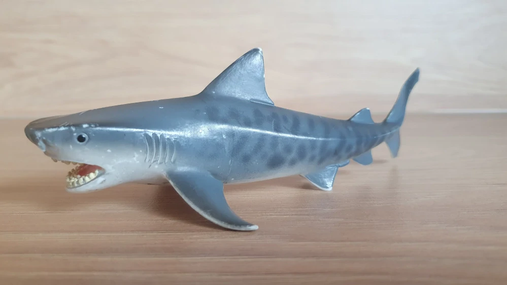 žralok tygří 14765, model 2015