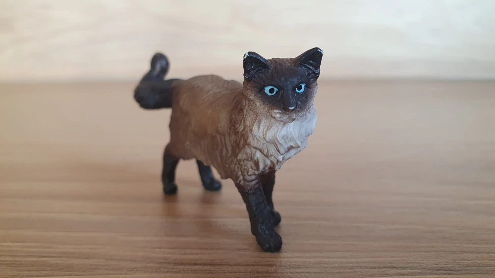 kočka Ragdoll 13940, model 2021