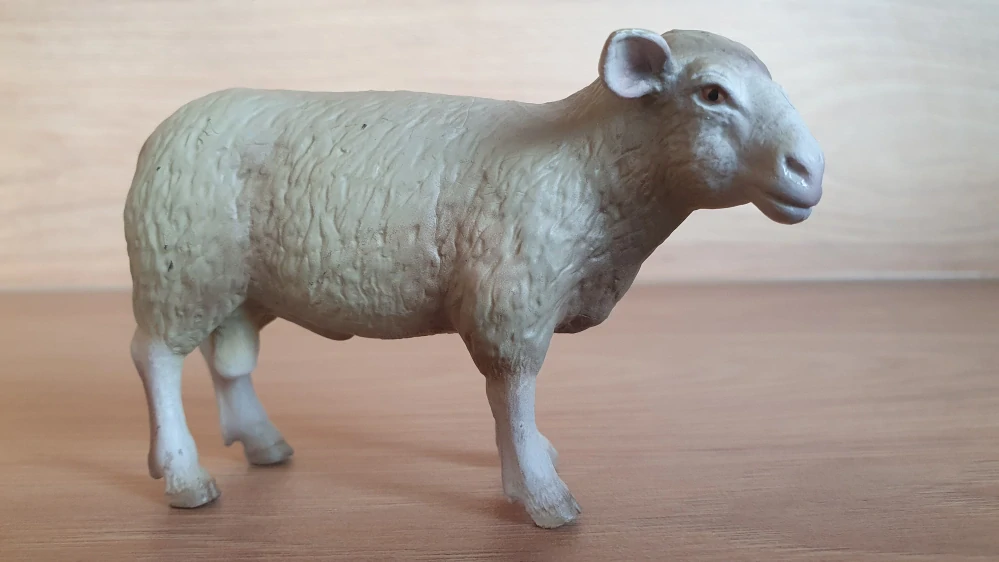 beran 13266, model 2002