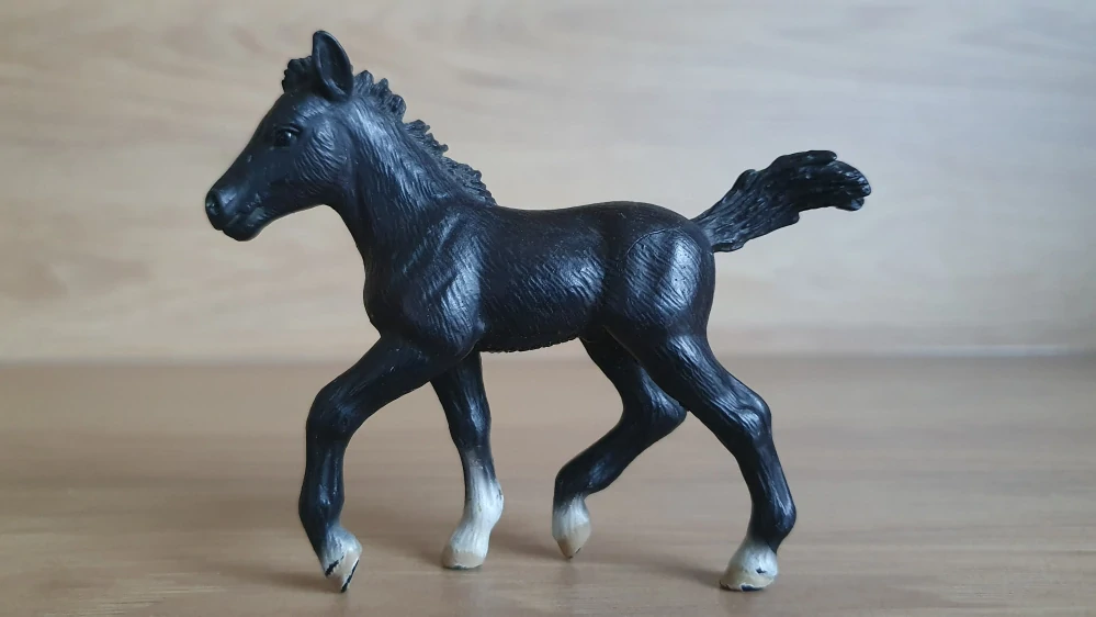 Lipicán hříbě 13294, model 2004