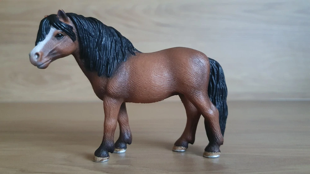 Dartmoorský poník 13651, model 2008