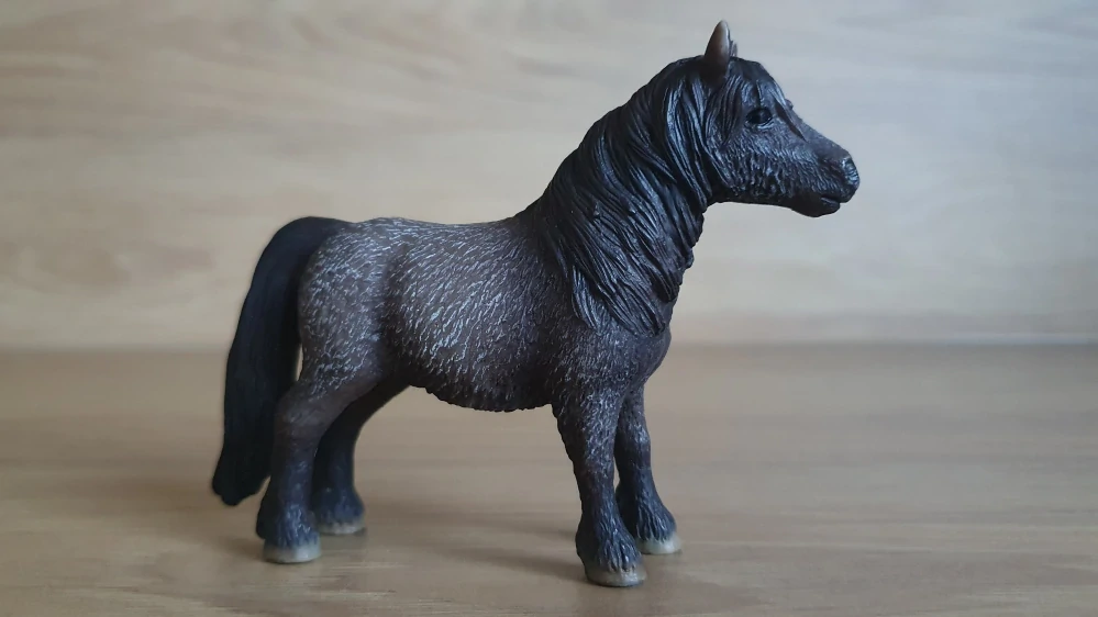 Shetlandský valach 13662, model 2009