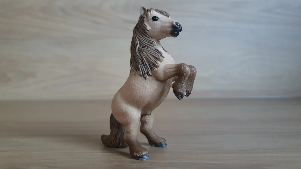 Shetlandský mini hřebec na zadních 13775, model 2014