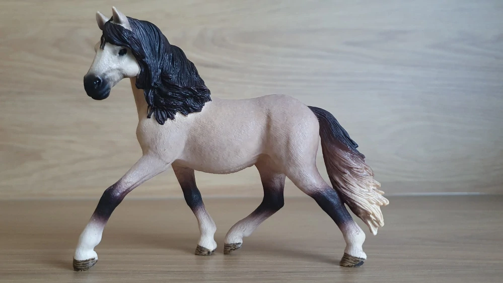 Andaluská klisna 13793, model 2014