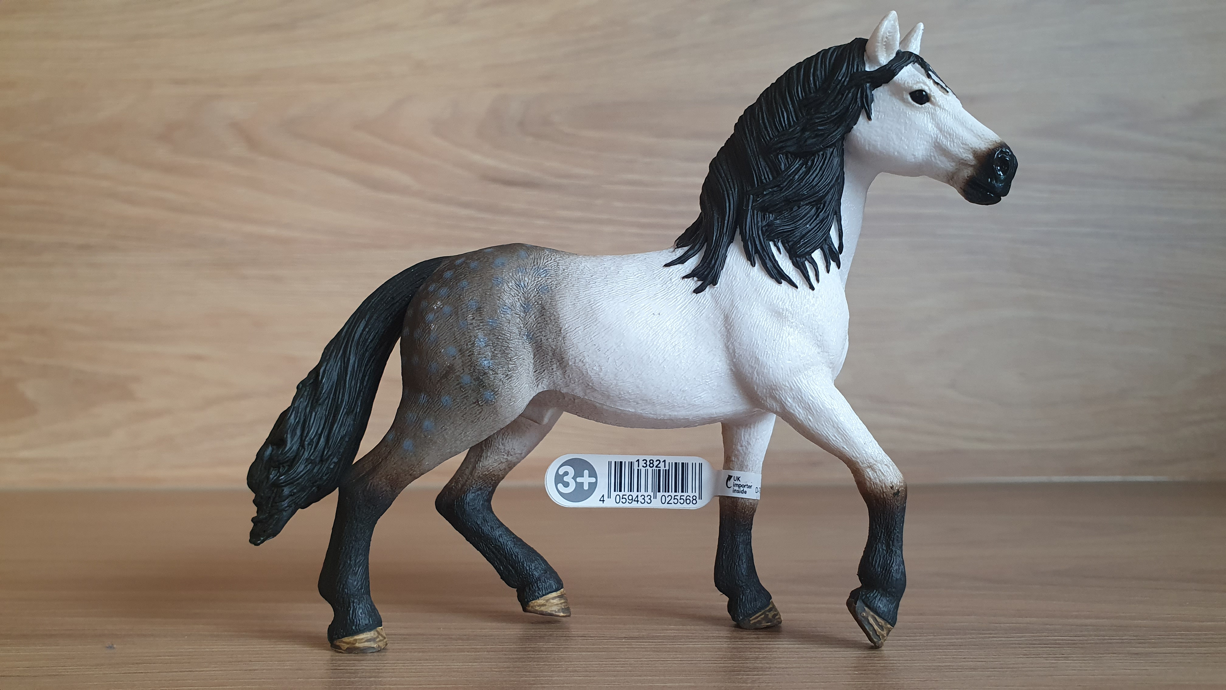 Andaluský hřebec 13821, model 2016