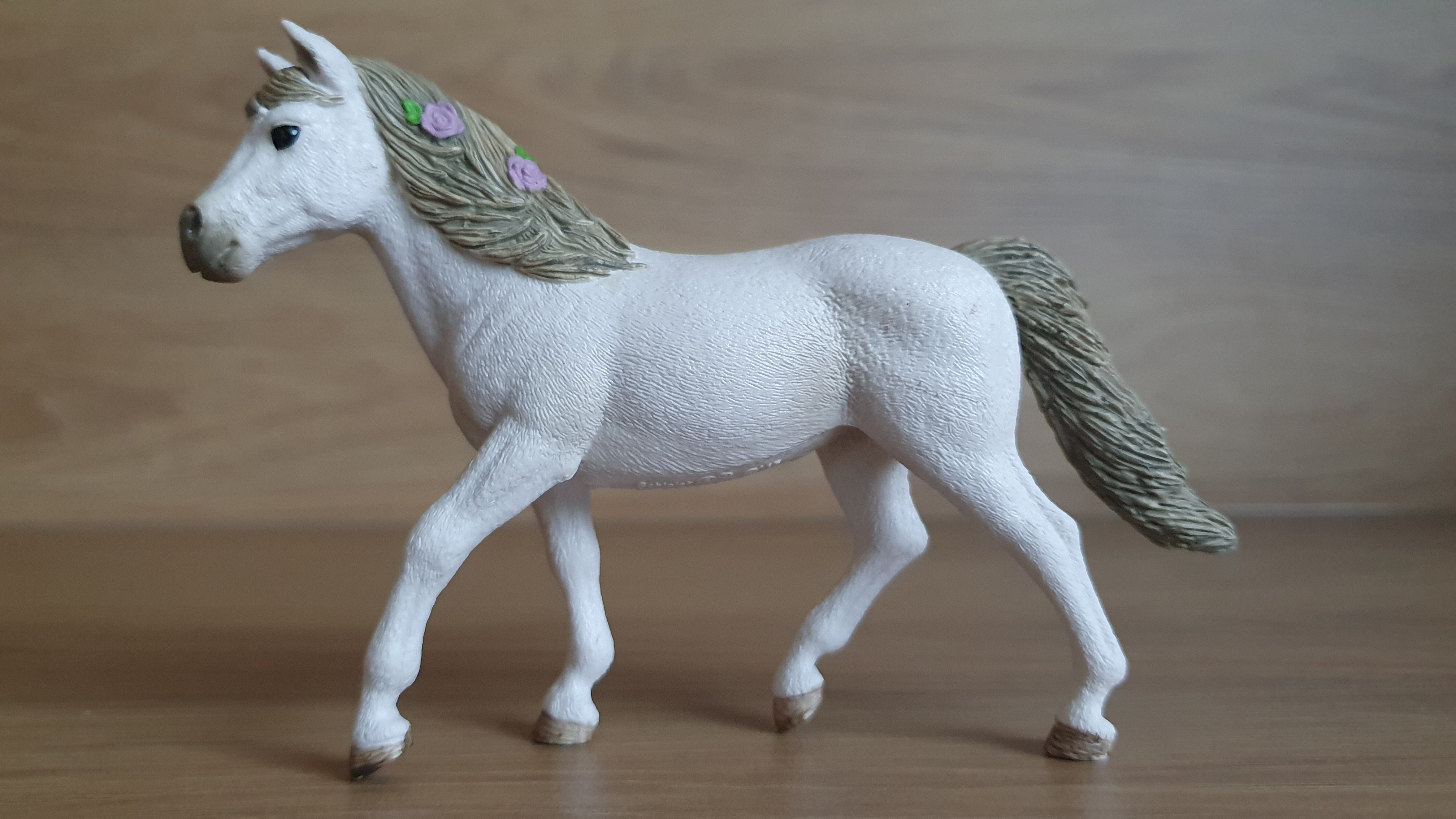 Connemarská pony klisna 42467, model 2017