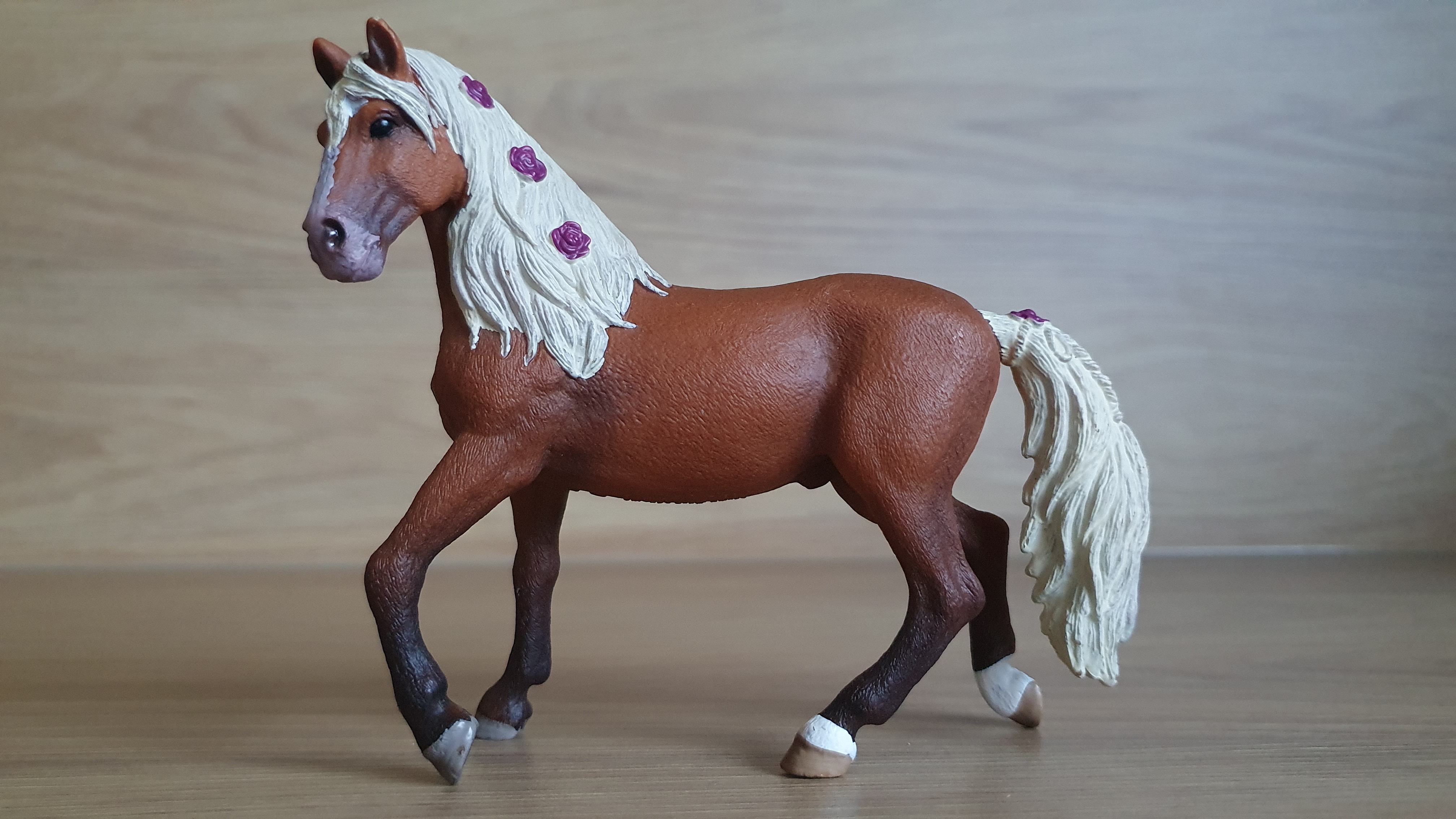 Hřebec Paso Fino 42468, model 2018