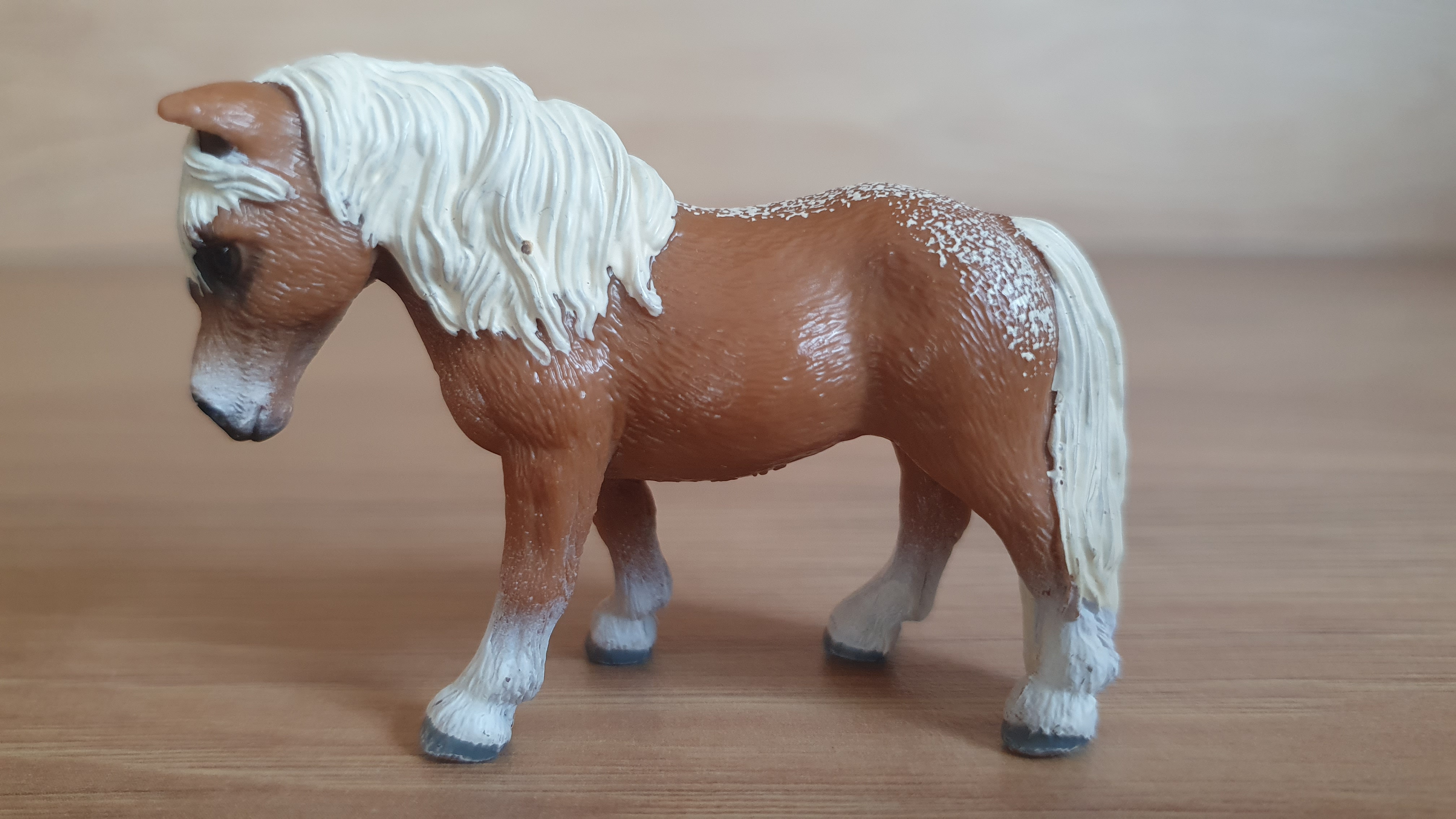 Falabella 13688, model 2010