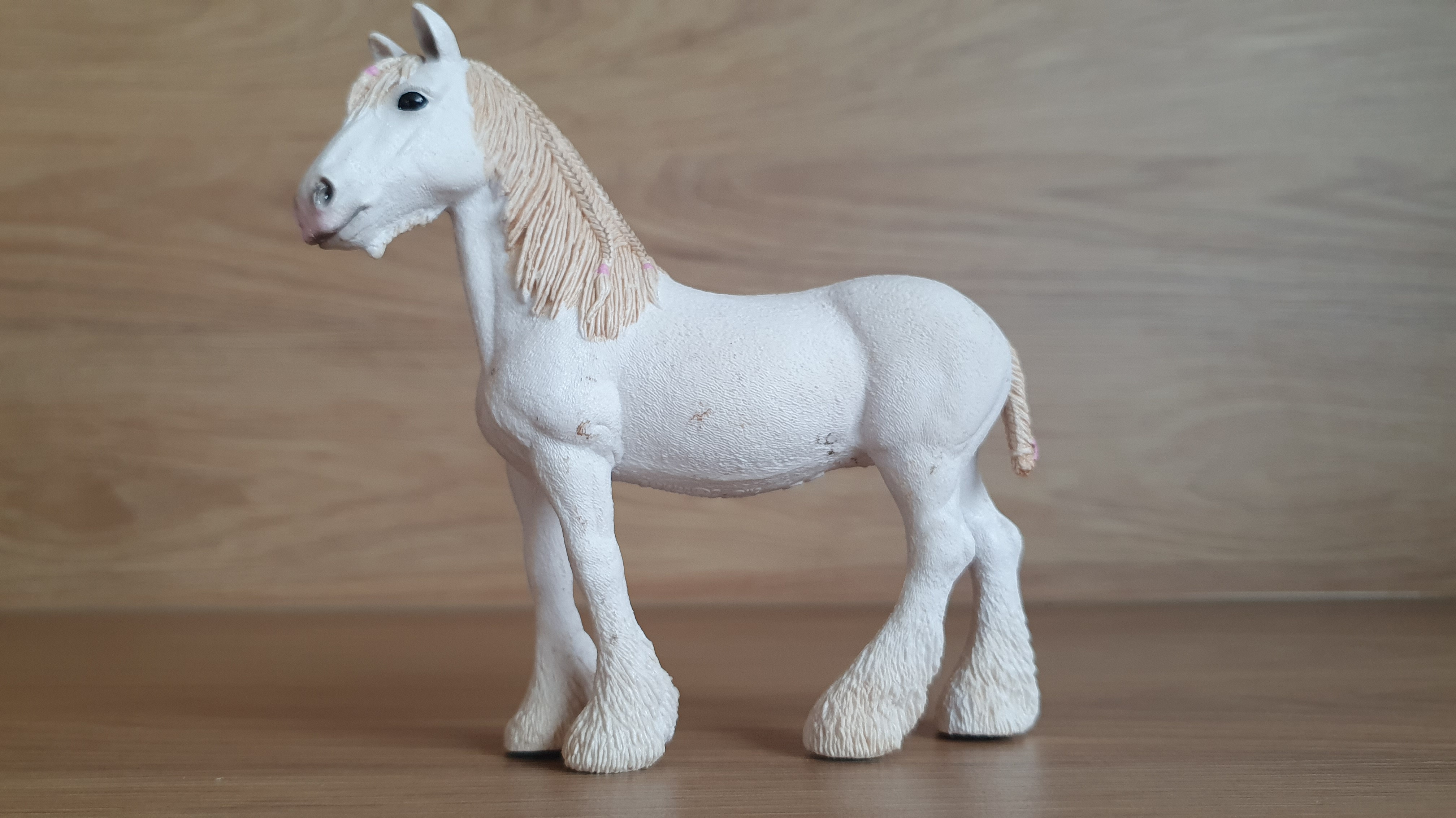 Klisna shirská 13735, model 2012
