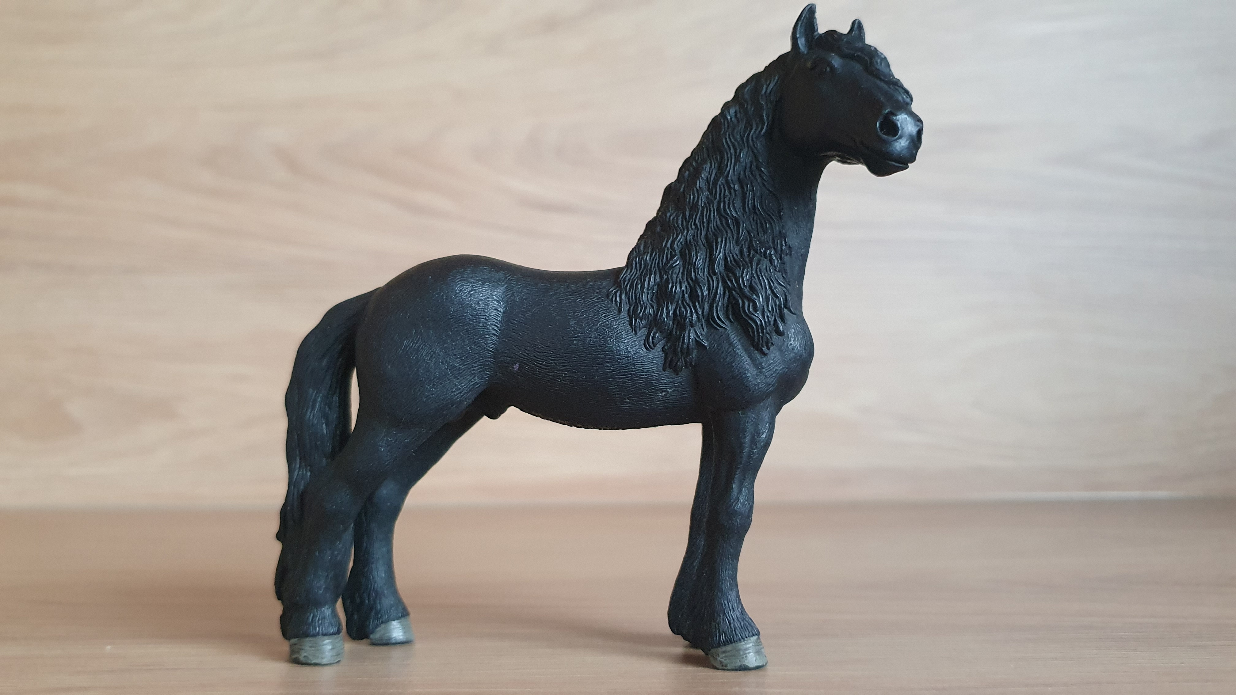 Fríský hřebec 13792, model 2014