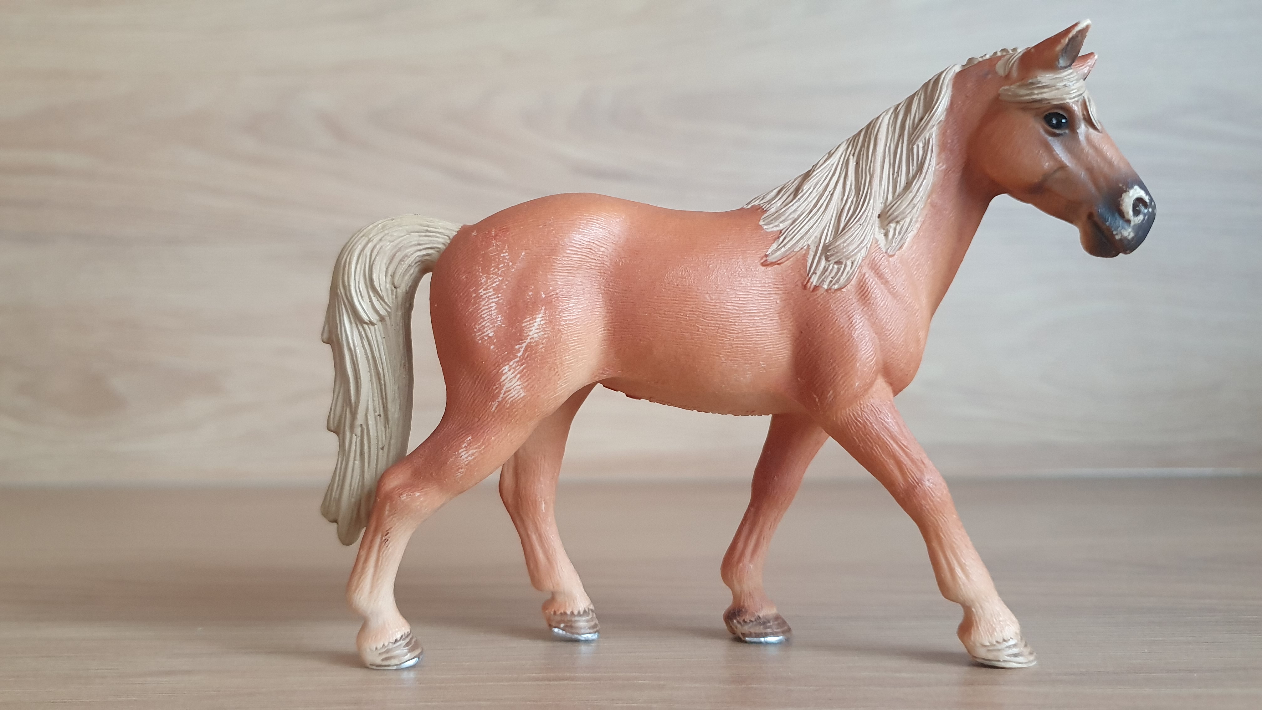 Tennessee Walker klisna 13833, model 2016
