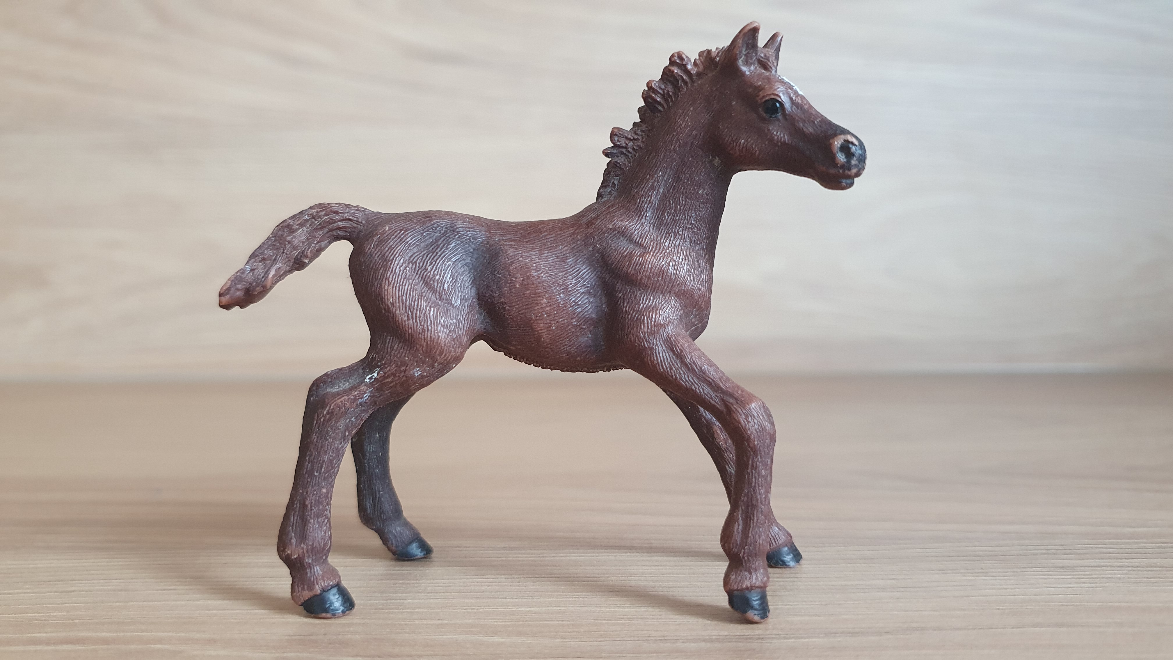Anglický plnokrevník hříbě 13857, model 2016