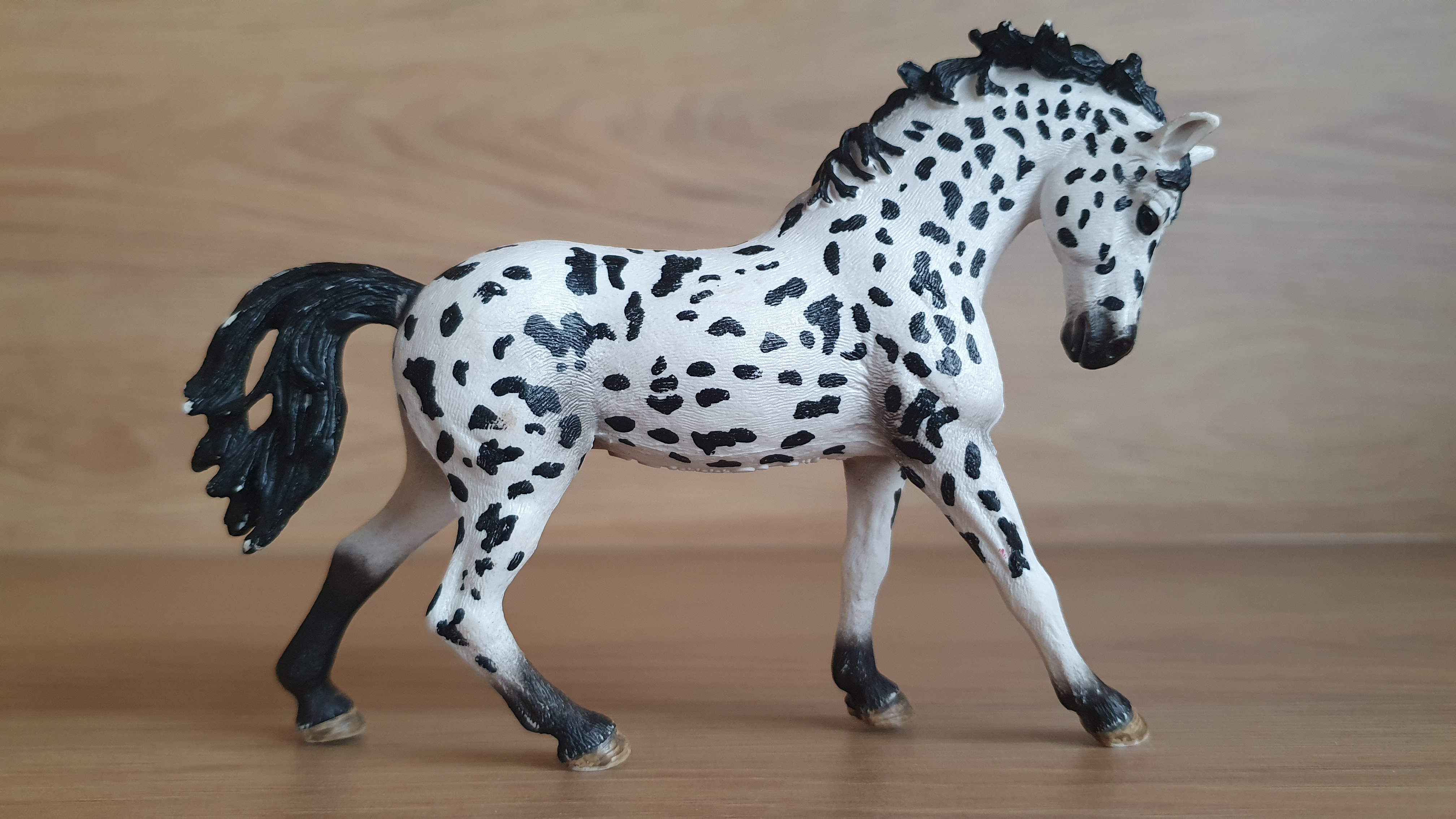 Knabstrupperská klisna 13769, model 2014