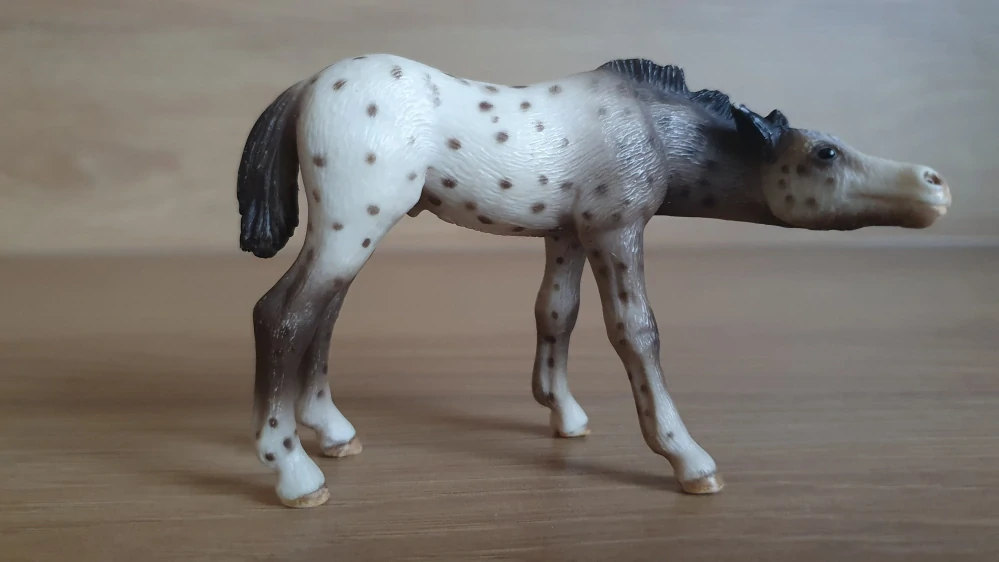 Knabstrupperské hříbě 13619, model 2006