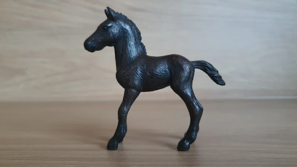 Fríské hříbě 13622, model 2007
