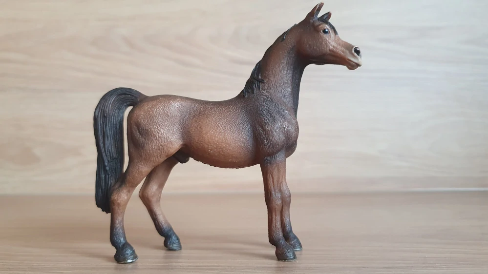 Arabský hřebec 13629, model 2007