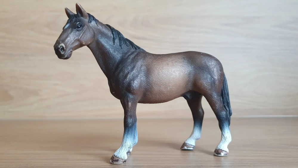 Hanoverskáý hřebec 13649, model 2008